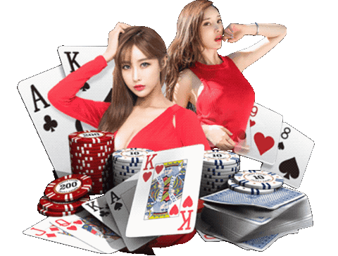 allcasino gaming โต๊ะบาคาร่า